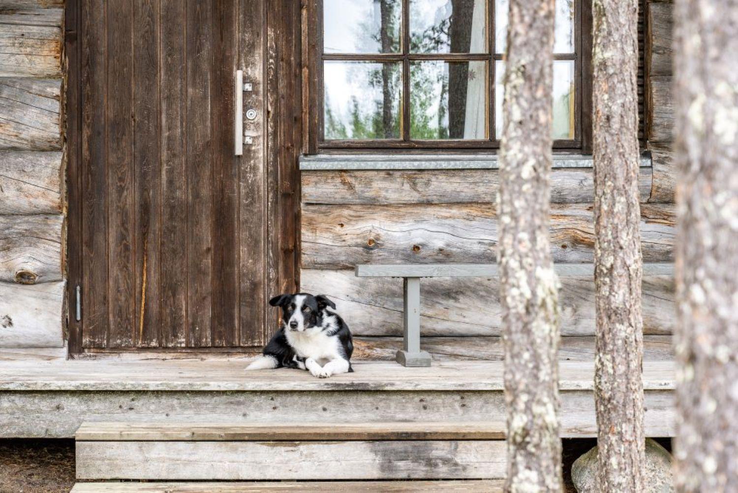 Holiday Village Himmerki Posio Eksteriør bilde